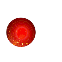 Beer Cerveza Sticker by Compañía Cervecera de Nicaragua