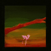 Digital Art Red Parrot GIF