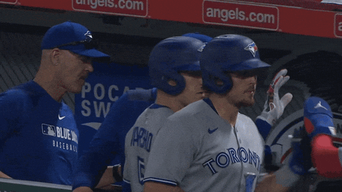 Blue Jays Baseball GIF by Toronto Blue Jays
