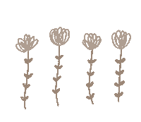 Flower 花 Sticker