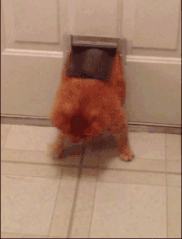 GIF by Demic