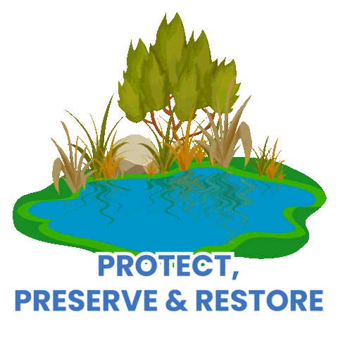 World Wetlands Day Sticker by Dogwood Alliance