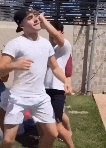 qgdocaio giphyupload caio cerqueira qgdocaio qgdocaiocerqueira GIF