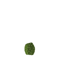 larapaulussen nature plant desert cactus Sticker