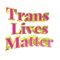 Trans Translivesmatter Sticker by GIPHY Text