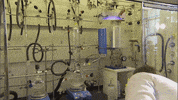 Art Video GIF by jorgemariozuleta