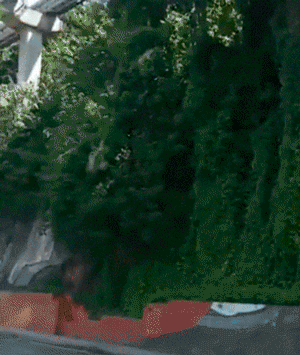 giffunme giphyupload GIF