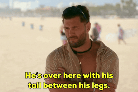 Okay_Decision hes over here with his tail between his legs GIF