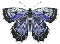 Beauty Illustration Sticker