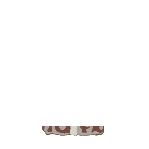 BabeWholesale giphyupload fashion shopping missouri Sticker