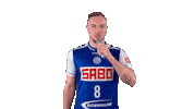 Handball-Bundesliga Mic Drop Sticker by LIQUI MOLY HBL