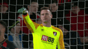 Football Soccer GIF by AFC Bournemouth