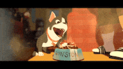 big hero 6 film GIF by Walt Disney Animation Studios