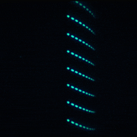 lights spinning GIF by Erica Anderson