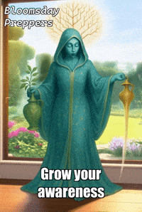 Office Blogging GIF by Bloomsday Preppers