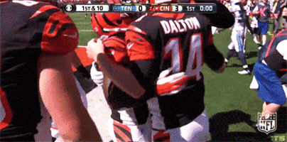 Cincinnati Bengals GIF by NFL