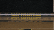 Volleyball Bison GIF by NDSU Athletics