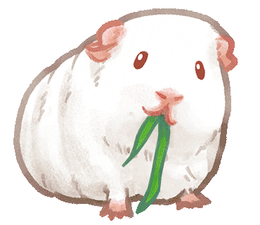 Guinea Pig Eating Sticker