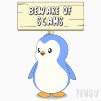 Penguin Stay Safe GIF by Pudgy Penguins