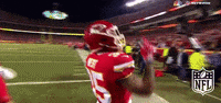Kansas City Chiefs Football GIF by NFL