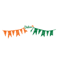 Festa Junina Nordeste Sticker by brfsadia