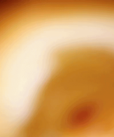 Happy Yorkshire Pudding GIF by Odd Creative