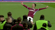 Happy Premier League GIF by Aston Villa FC