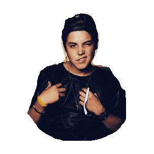 shawn mendes STICKER by imoji