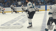 ice hockey sport GIF by NHL