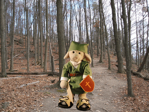 legend of zelda cosplay GIF by Zackary Rabbit