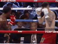 toprank fight boxing fighting espn GIF