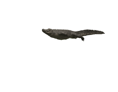 Scream Dope Sticker by The Crawl Movie