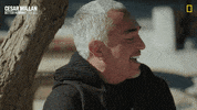 Dogwhisperer GIF by National Geographic Channel