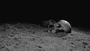 talksfromthecrypt halloween horror podcast true crime GIF