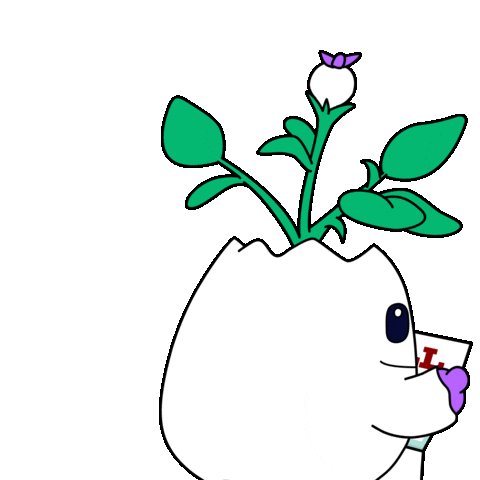 No Money Bills Sticker by Magic Eden