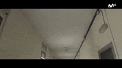 Antidisturbios Series Movistar GIF by Movistar+