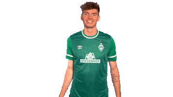 Wave Nick Sticker by SV Werder Bremen