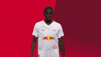 Football Celebration GIF by RB Leipzig