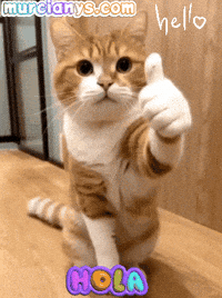 Feliz Hello GIF by Murcianys LLC