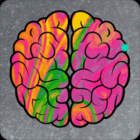 Pedalbrainz pedalbrainz GIF