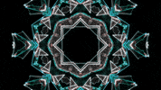 music festival art GIF by Bonnaroo Music and Arts Festival