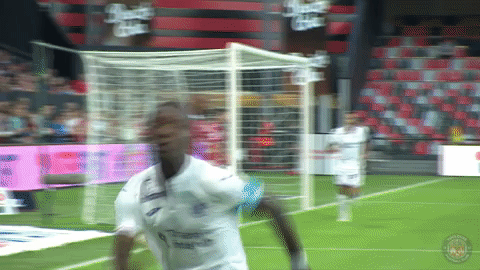 happy ligue 1 GIF by Toulouse Football Club