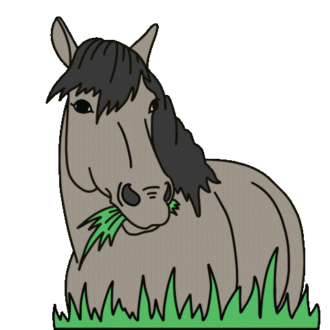 AnMyVisuals giphyupload horse anmyvisuals Sticker