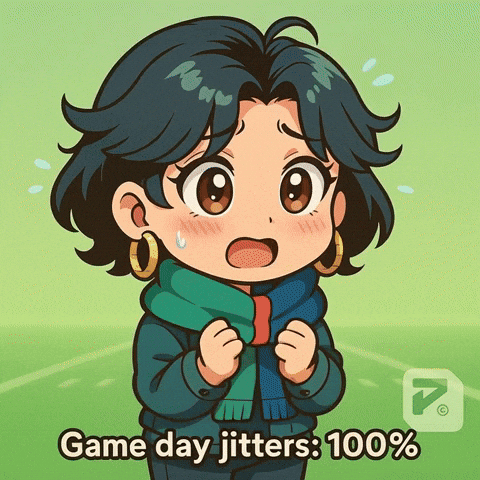 Football Fan Hana GIF by Persona
