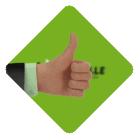 dovalletr like entrega transporte caminhao Sticker