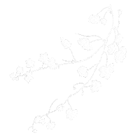 Flower Boho Sticker