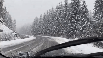 Snow Covers Mountain Roads in Washington