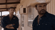 Mystery Road GIF by ABC Indigenous