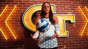 Georgia Tech Volleyball GIF by Georgia Tech Yellow Jackets