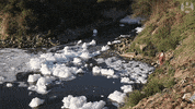 Water India GIF by The Guardian